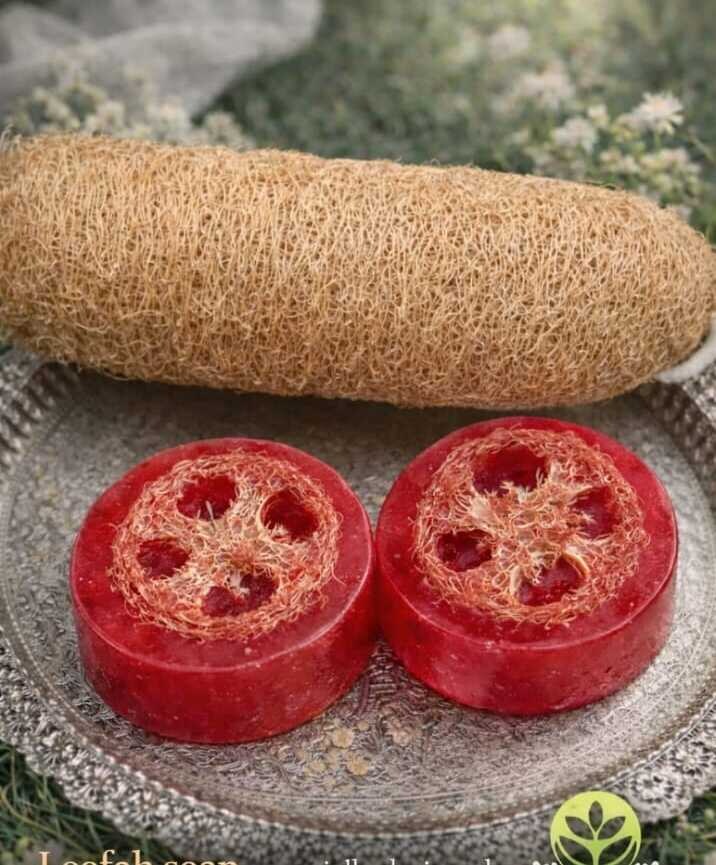 Loofah Soap